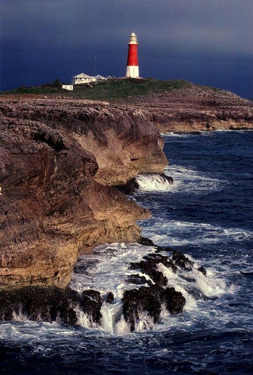 Click to See Next Image